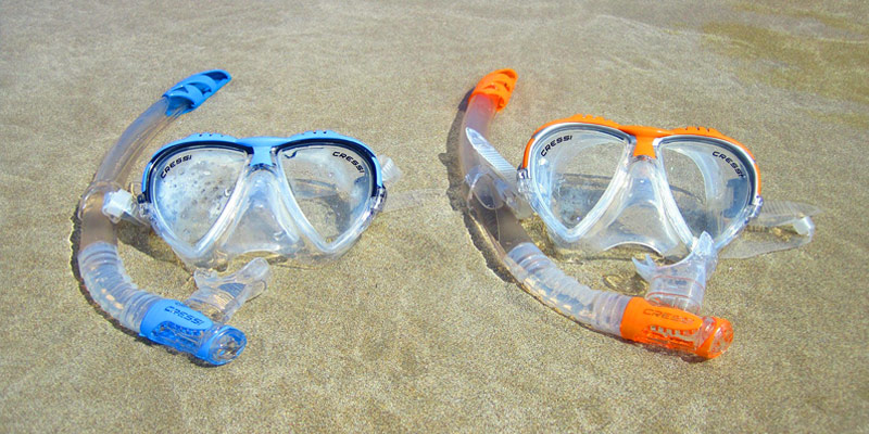 Starfish-Beach-Club-Minibanner-Masks