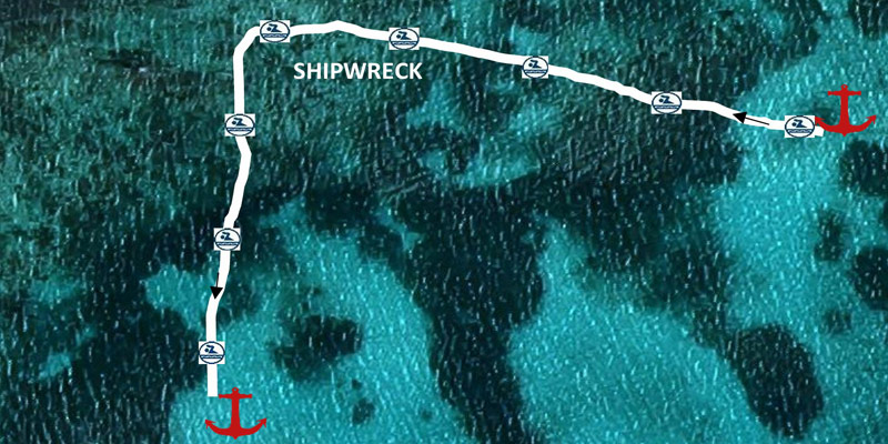 Starfish-Beach-Club-Minibanner-Snorkeling-itinerary-2