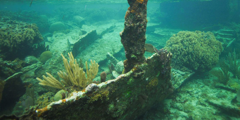 Starfish-Beach-Club-Minibanner-Snorkeling-on-the.Sunken-Shipwreck