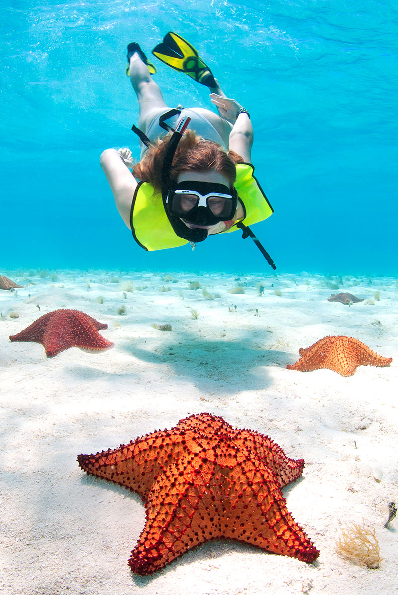 Starfish-Beach-Club-Snorkeling-with-starfish-v